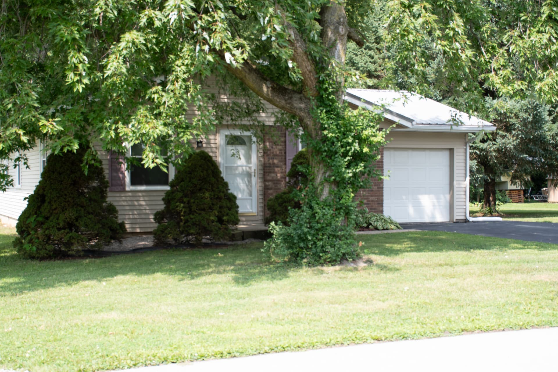 Shaded curb view of the home framed by a mature maple tree