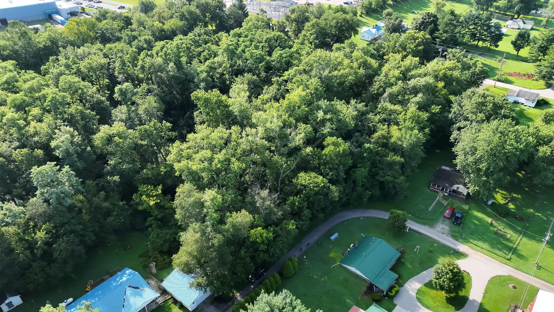 Aerial photo of a wooded residential lot on N Adams St in Veedersburg, Indiana showing tree cover and surrounding homes